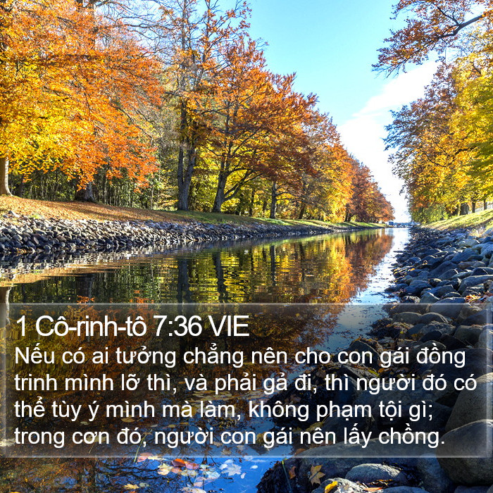 1 Cô-rinh-tô 7:36 VIE Bible Study