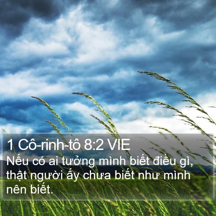 1 Cô-rinh-tô 8:2 VIE Bible Study