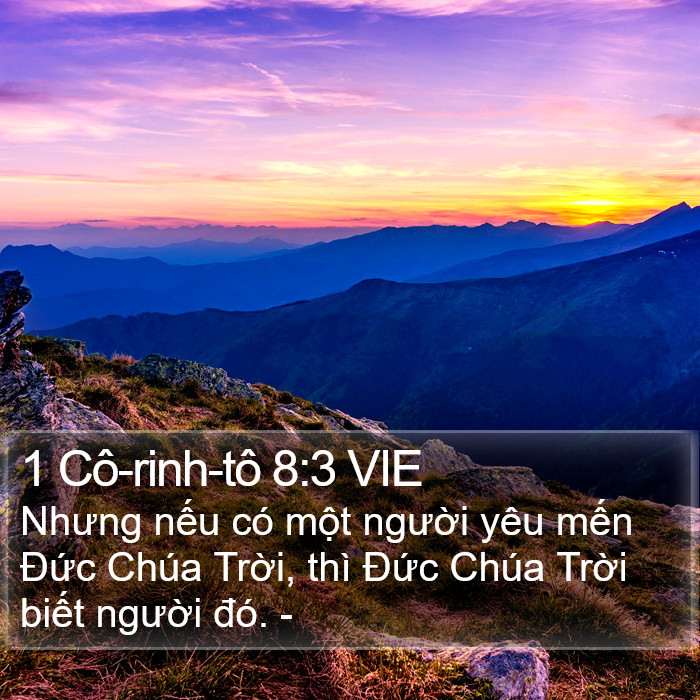 1 Cô-rinh-tô 8:3 VIE Bible Study