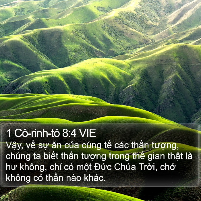 1 Cô-rinh-tô 8:4 VIE Bible Study