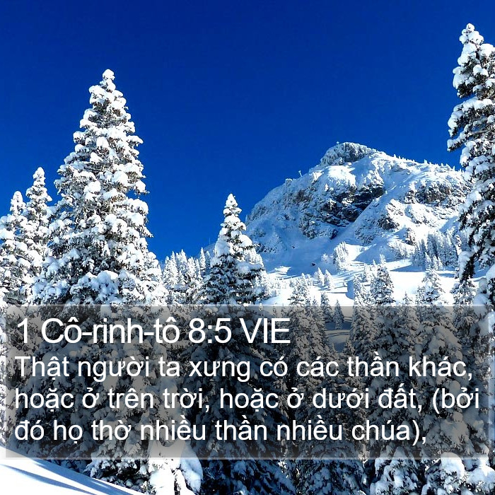 1 Cô-rinh-tô 8:5 VIE Bible Study