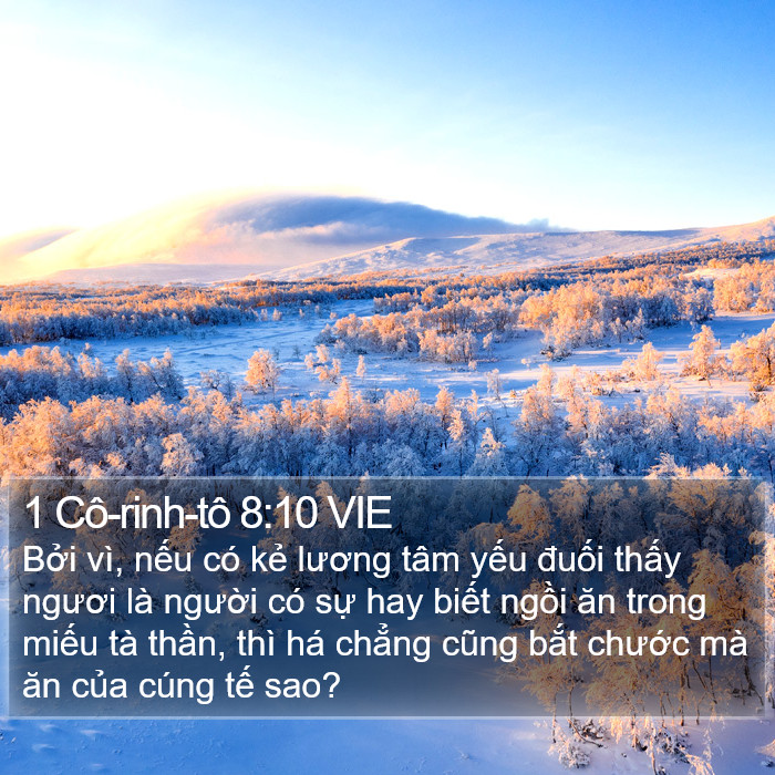 1 Cô-rinh-tô 8:10 VIE Bible Study