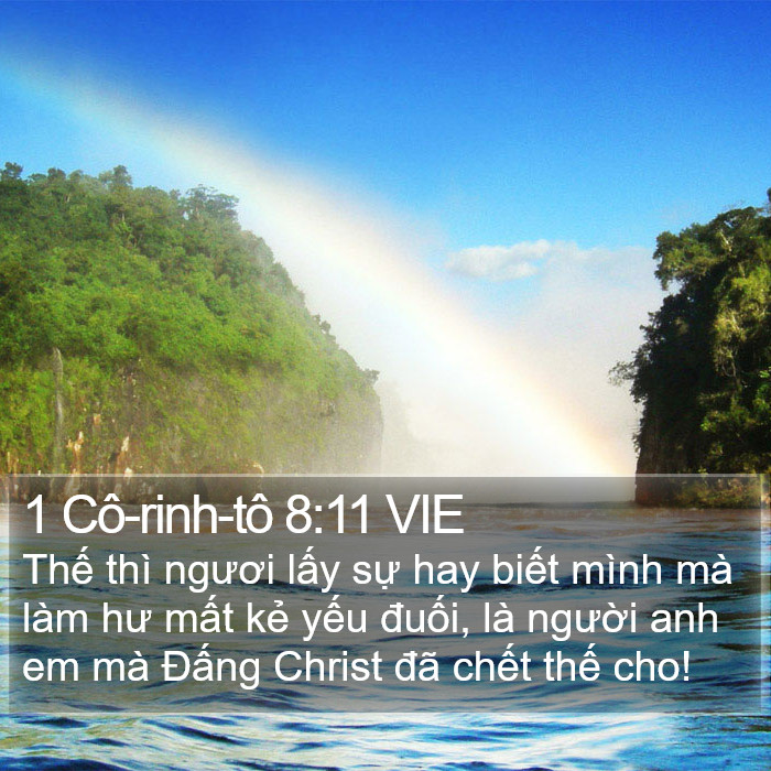 1 Cô-rinh-tô 8:11 VIE Bible Study