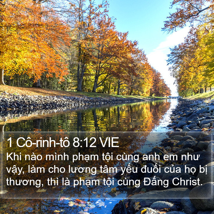 1 Cô-rinh-tô 8:12 VIE Bible Study