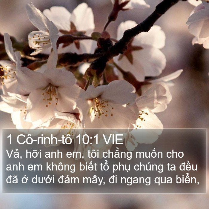 1 Cô-rinh-tô 10:1 VIE Bible Study