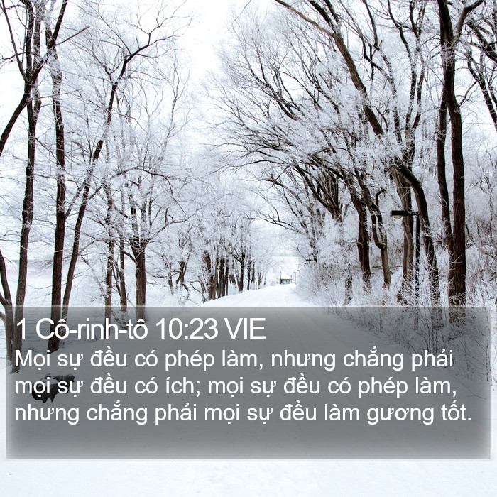 1 Cô-rinh-tô 10:23 VIE Bible Study