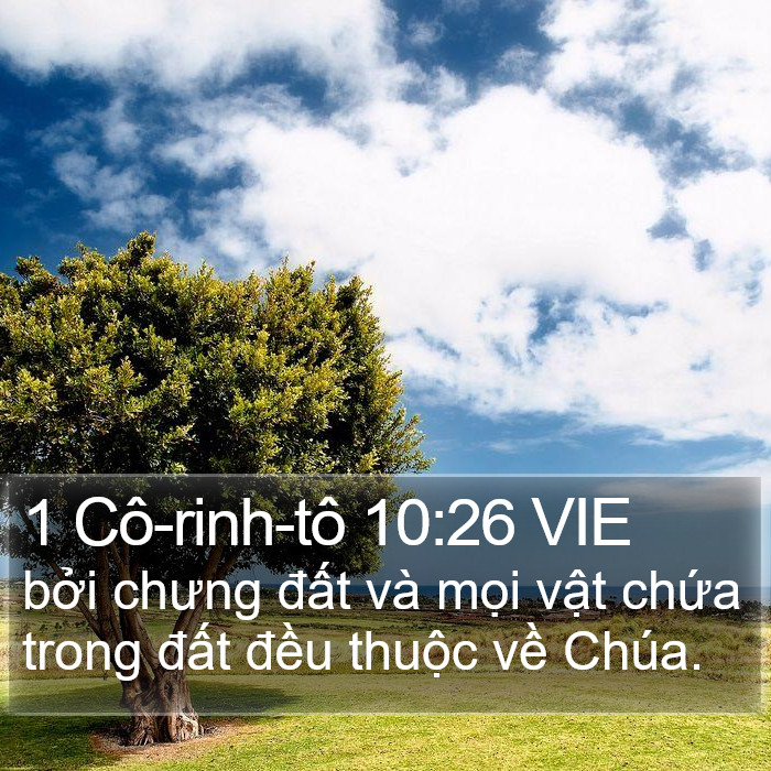 1 Cô-rinh-tô 10:26 VIE Bible Study