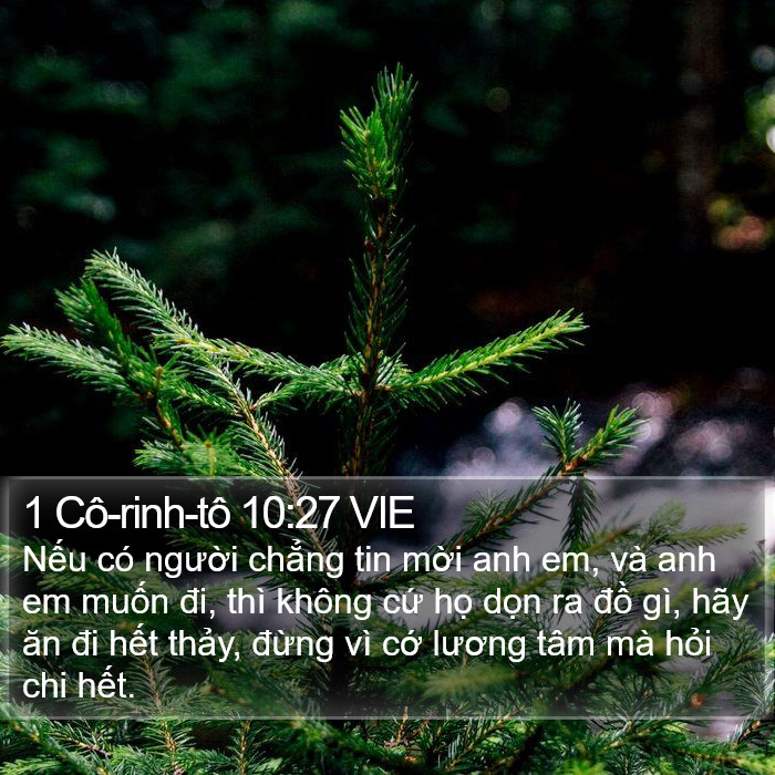 1 Cô-rinh-tô 10:27 VIE Bible Study