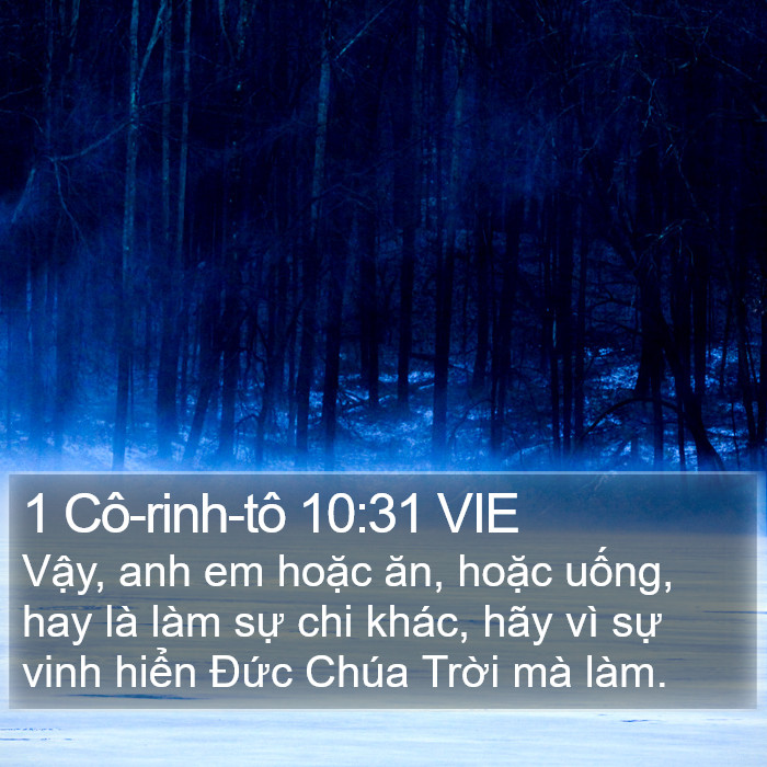 1 Cô-rinh-tô 10:31 VIE Bible Study