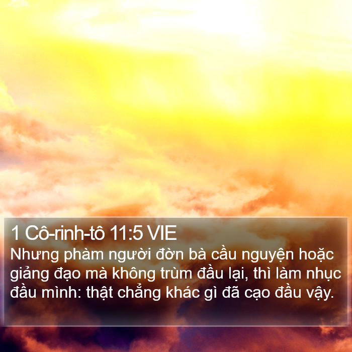 1 Cô-rinh-tô 11:5 VIE Bible Study