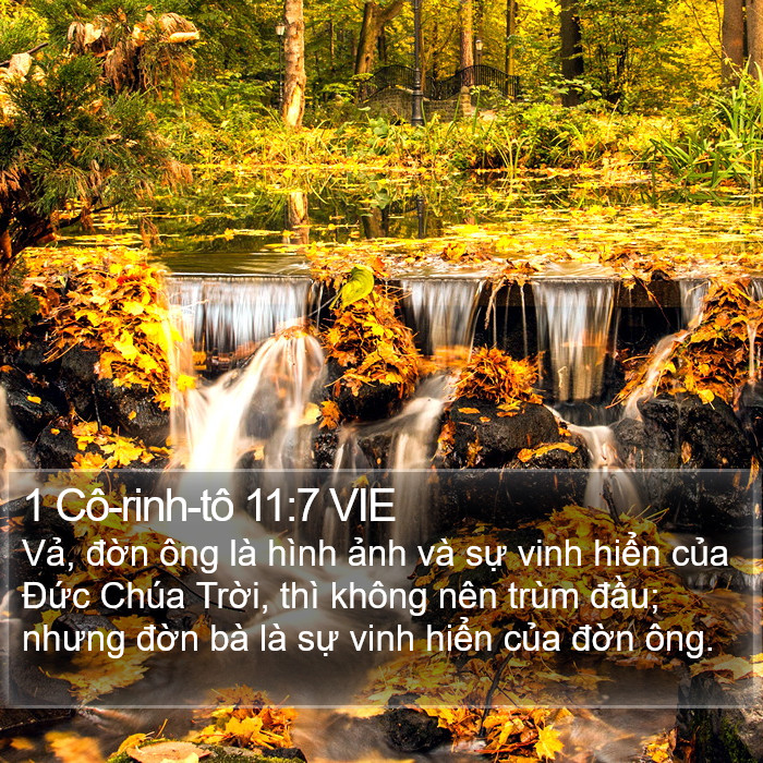 1 Cô-rinh-tô 11:7 VIE Bible Study