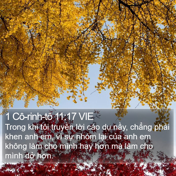 1 Cô-rinh-tô 11:17 VIE Bible Study