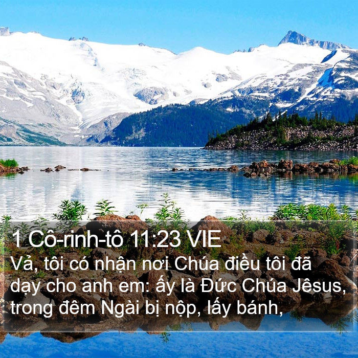 1 Cô-rinh-tô 11:23 VIE Bible Study