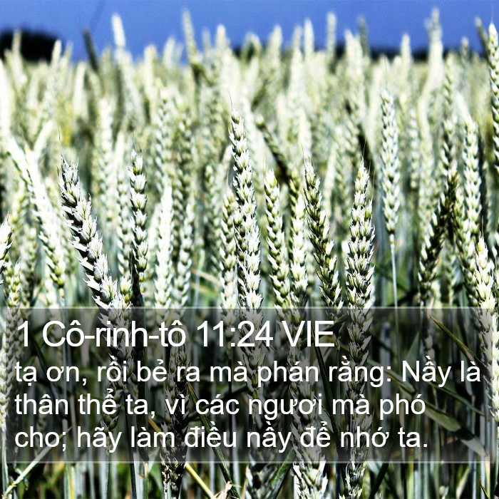 1 Cô-rinh-tô 11:24 VIE Bible Study