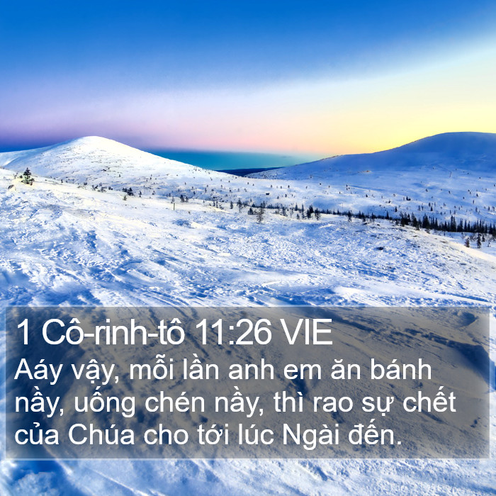 1 Cô-rinh-tô 11:26 VIE Bible Study