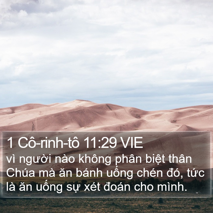 1 Cô-rinh-tô 11:29 VIE Bible Study