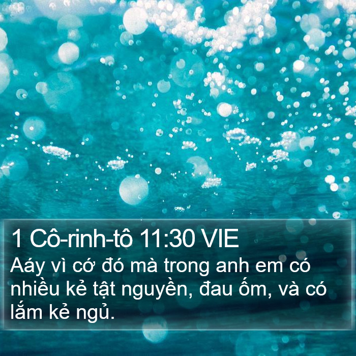 1 Cô-rinh-tô 11:30 VIE Bible Study