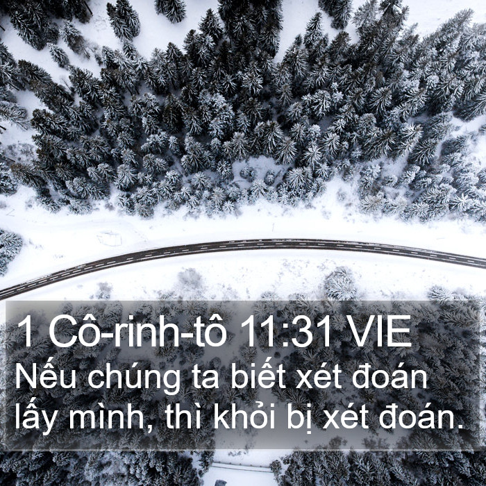 1 Cô-rinh-tô 11:31 VIE Bible Study