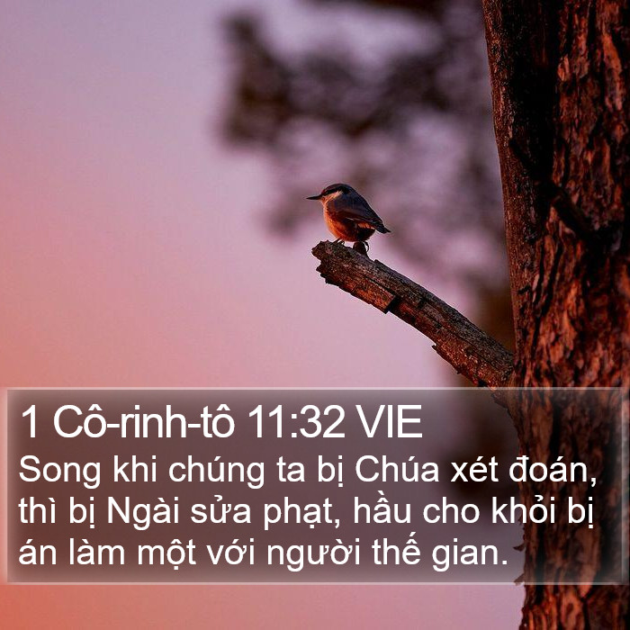 1 Cô-rinh-tô 11:32 VIE Bible Study