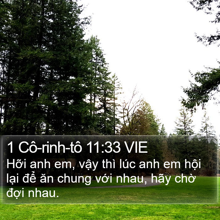 1 Cô-rinh-tô 11:33 VIE Bible Study