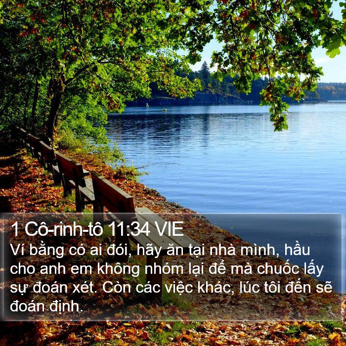 1 Cô-rinh-tô 11:34 VIE Bible Study