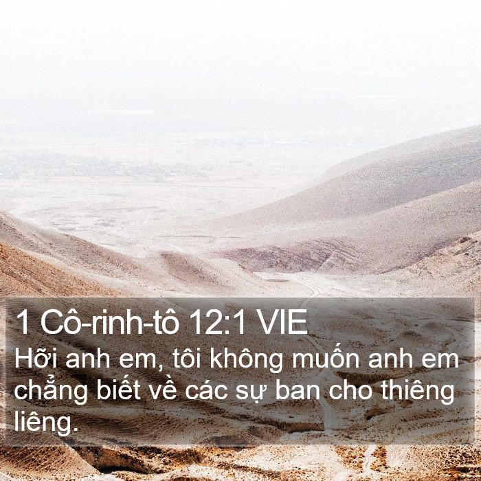 1 Cô-rinh-tô 12:1 VIE Bible Study