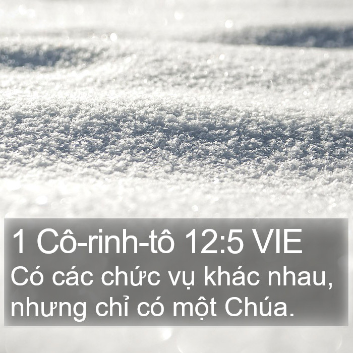 1 Cô-rinh-tô 12:5 VIE Bible Study