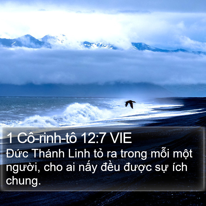 1 Cô-rinh-tô 12:7 VIE Bible Study