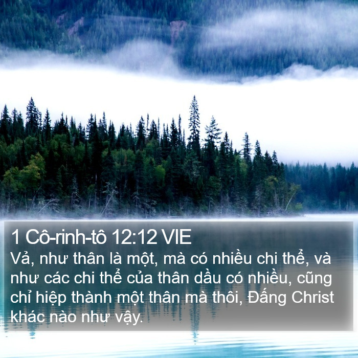 1 Cô-rinh-tô 12:12 VIE Bible Study