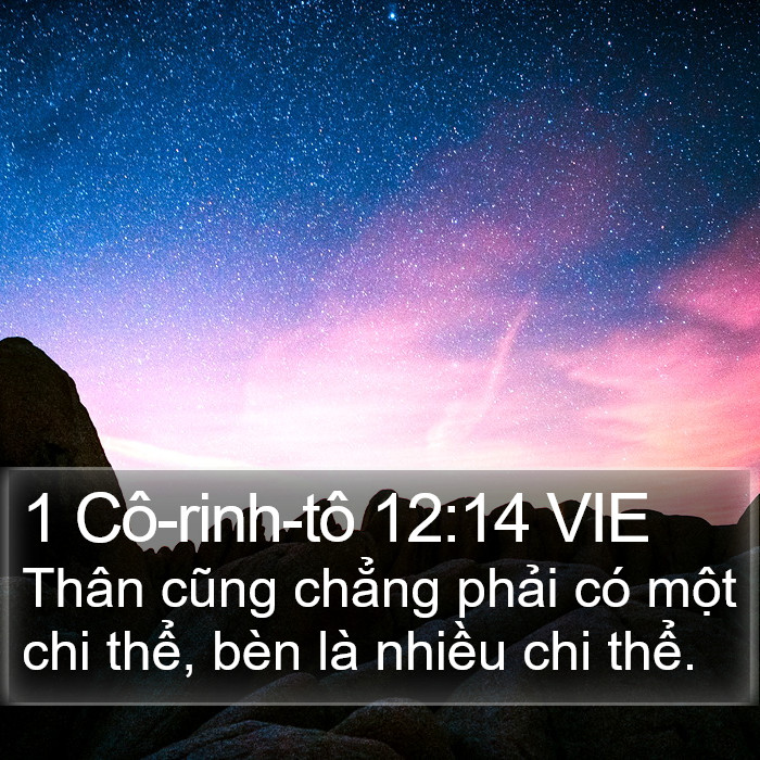 1 Cô-rinh-tô 12:14 VIE Bible Study