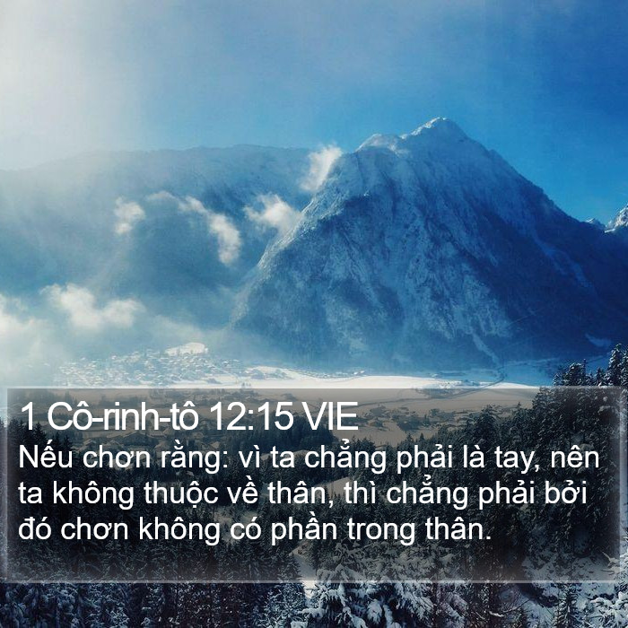 1 Cô-rinh-tô 12:15 VIE Bible Study