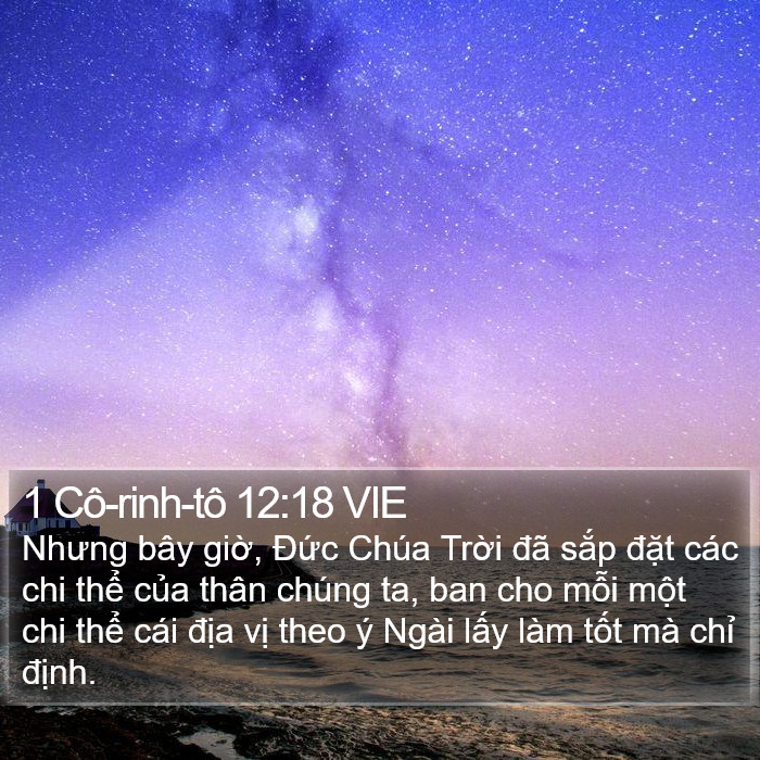 1 Cô-rinh-tô 12:18 VIE Bible Study