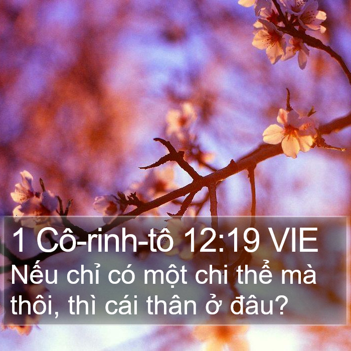 1 Cô-rinh-tô 12:19 VIE Bible Study