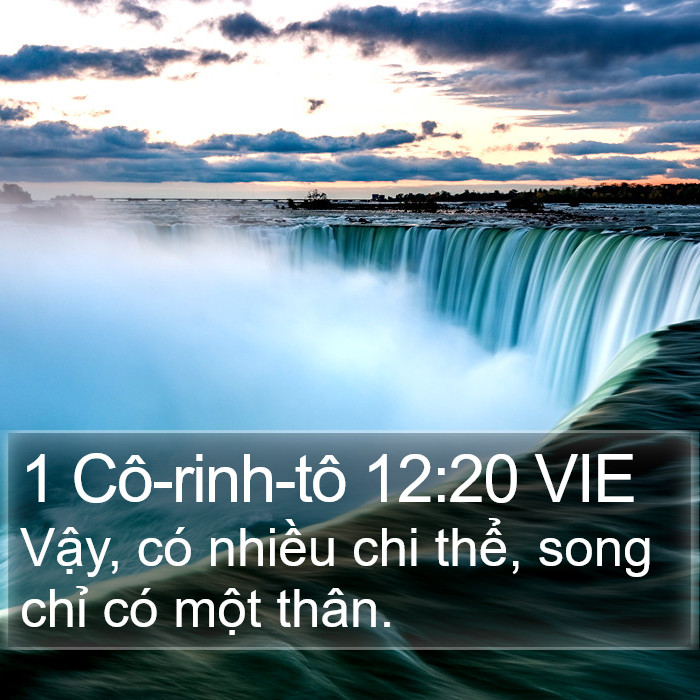 1 Cô-rinh-tô 12:20 VIE Bible Study