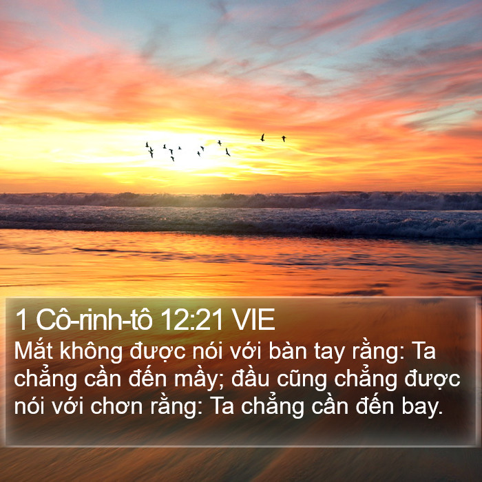 1 Cô-rinh-tô 12:21 VIE Bible Study