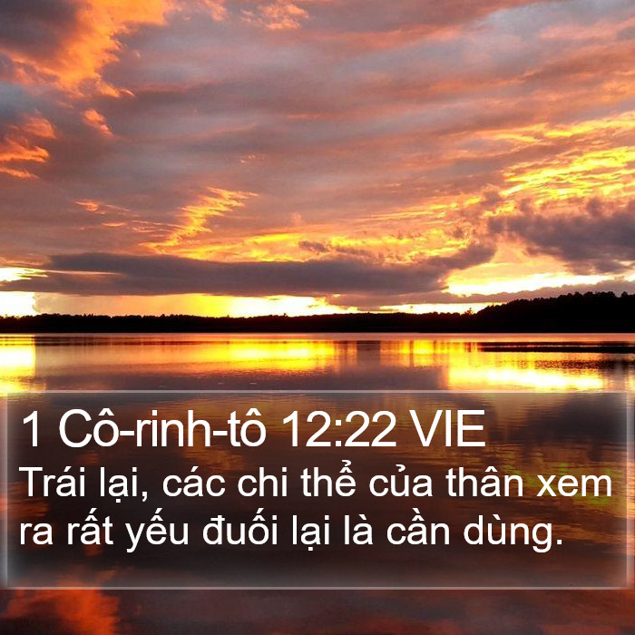 1 Cô-rinh-tô 12:22 VIE Bible Study