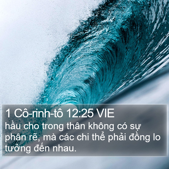 1 Cô-rinh-tô 12:25 VIE Bible Study