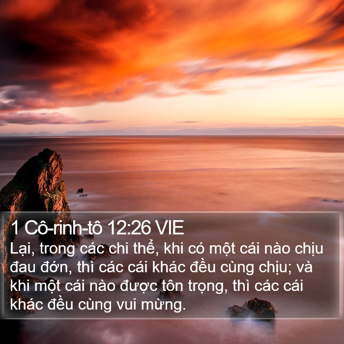 1 Cô-rinh-tô 12:26 VIE Bible Study