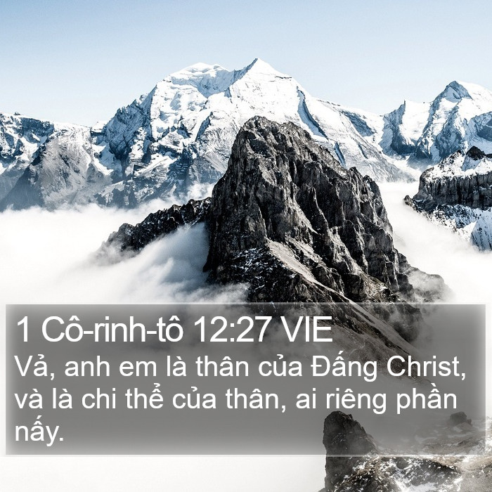 1 Cô-rinh-tô 12:27 VIE Bible Study