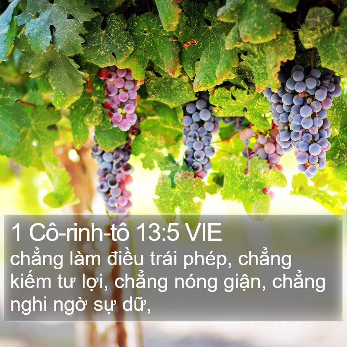 1 Cô-rinh-tô 13:5 VIE Bible Study