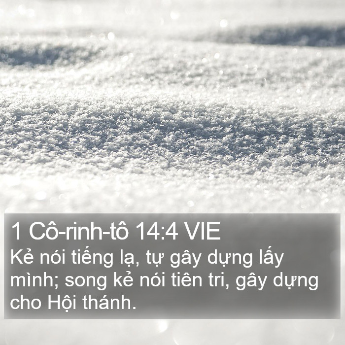 1 Cô-rinh-tô 14:4 VIE Bible Study