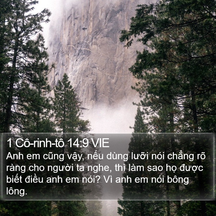 1 Cô-rinh-tô 14:9 VIE Bible Study