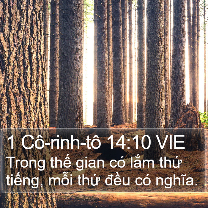 1 Cô-rinh-tô 14:10 VIE Bible Study