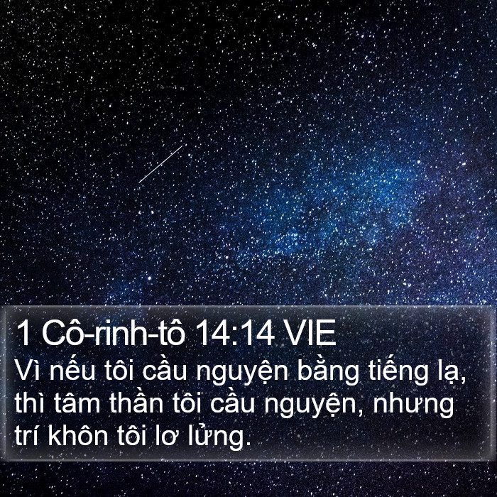 1 Cô-rinh-tô 14:14 VIE Bible Study