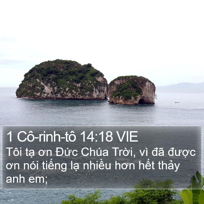 1 Cô-rinh-tô 14:18 VIE Bible Study