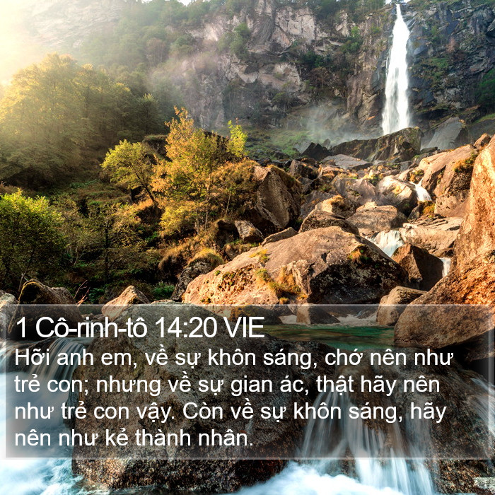 1 Cô-rinh-tô 14:20 VIE Bible Study