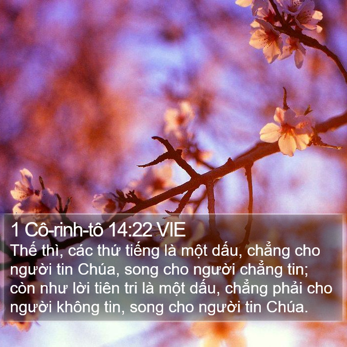 1 Cô-rinh-tô 14:22 VIE Bible Study