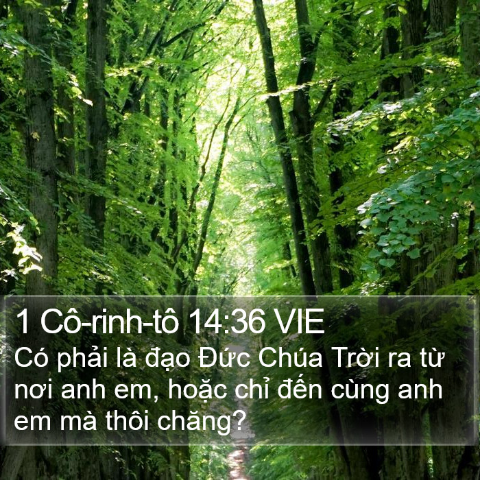 1 Cô-rinh-tô 14:36 VIE Bible Study