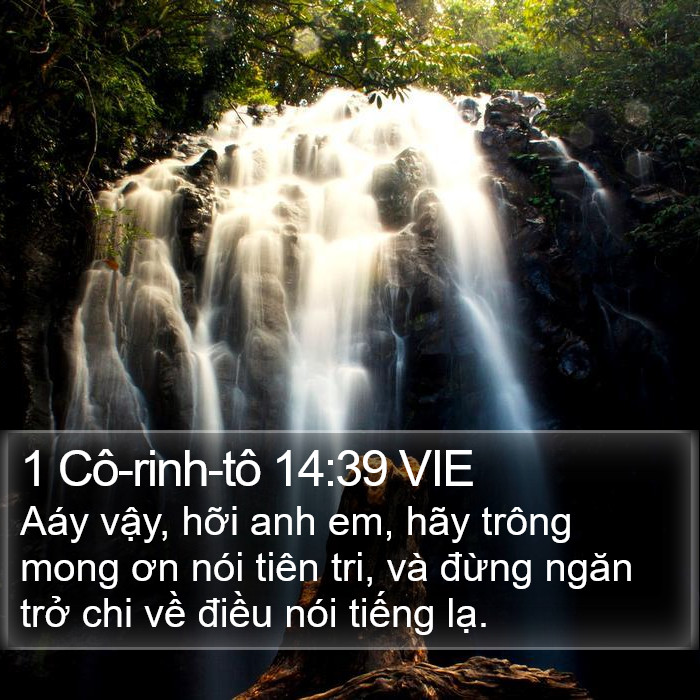 1 Cô-rinh-tô 14:39 VIE Bible Study