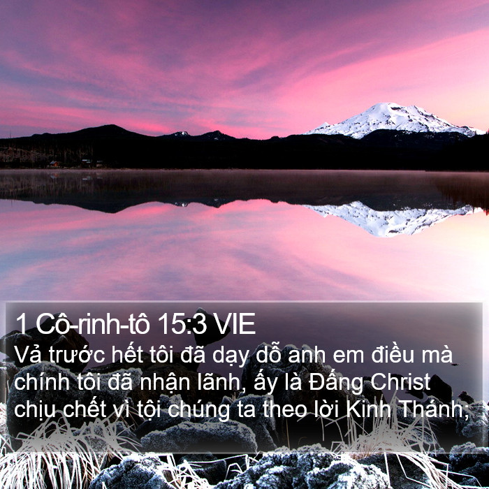 1 Cô-rinh-tô 15:3 VIE Bible Study